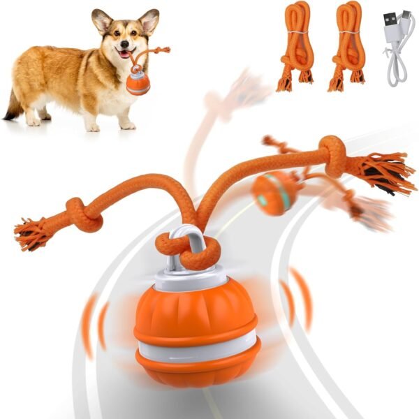 Pet Ball for Dogs, Dog Interactive Toys,Motion Activate Rolling Ball for Puppy/Small Dogs, Automatic Moving Toy,USB Rechargeable