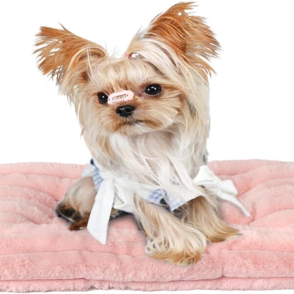 Extra Small Dog Crate Pad 18 x 12 Dog Beds for Tiny Dogs Deluxe Corduroy Fleece Fluffy Comfy Kennel Pad Washable Cute Flat Cat Bed Mat Pink Pet Sleeping Cushion for Mini Small Puppy Breeds XS