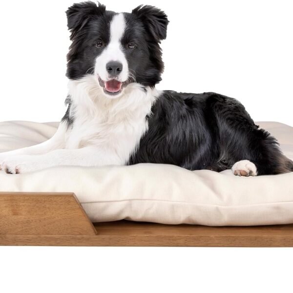 Elevated Dog Bed - 36” x 29.5” Indoor Pet Bed with Frame and Soft Cushion - Mid-Century Modern Wood Dog Bed for Medium to Large Pets by  (Natural)
