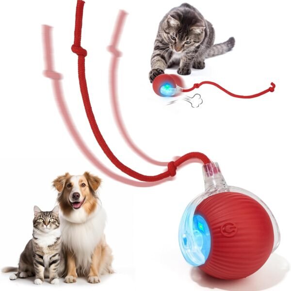 Interactive Dog & Cat Electric Active Toys, Smart Rolling Ball for Dogs & Cats, 360° Smart Automatic Rolling Pet Ball, Fast Moving Toy for Bored Indoor Kitty, Rechargeable(Red)