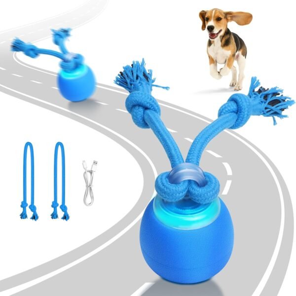 Interactive Dog Toys Electric Dog Ball Touch Wake-up with Dogs Chirping Rechargeable Toys Indoor & Outdoor Fun