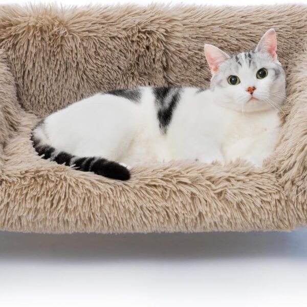Cat Couch Bed, Pet Sofa for Indoor Cats Wooden Indoor Elevated Cat Beds with Removable Mattress Cover Suitable for Kitty, Puppy or Small Animal (Brown, Medium)
