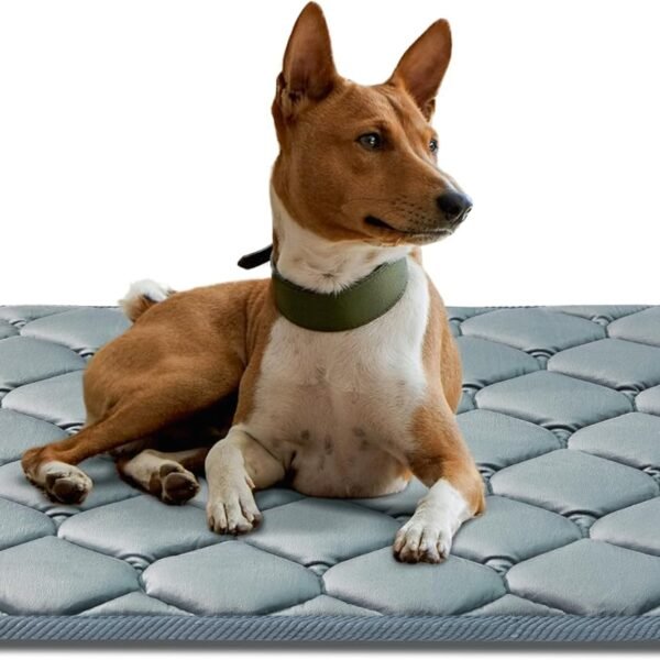 Dog Crate Mats,Soft Kennel Pads Washable with Anti-Slip Bottom,Dog Kennel Pads for Sleeping,Pets Mattress Cat Dog Beds for Large Medium Dogs(35x22,Grey)