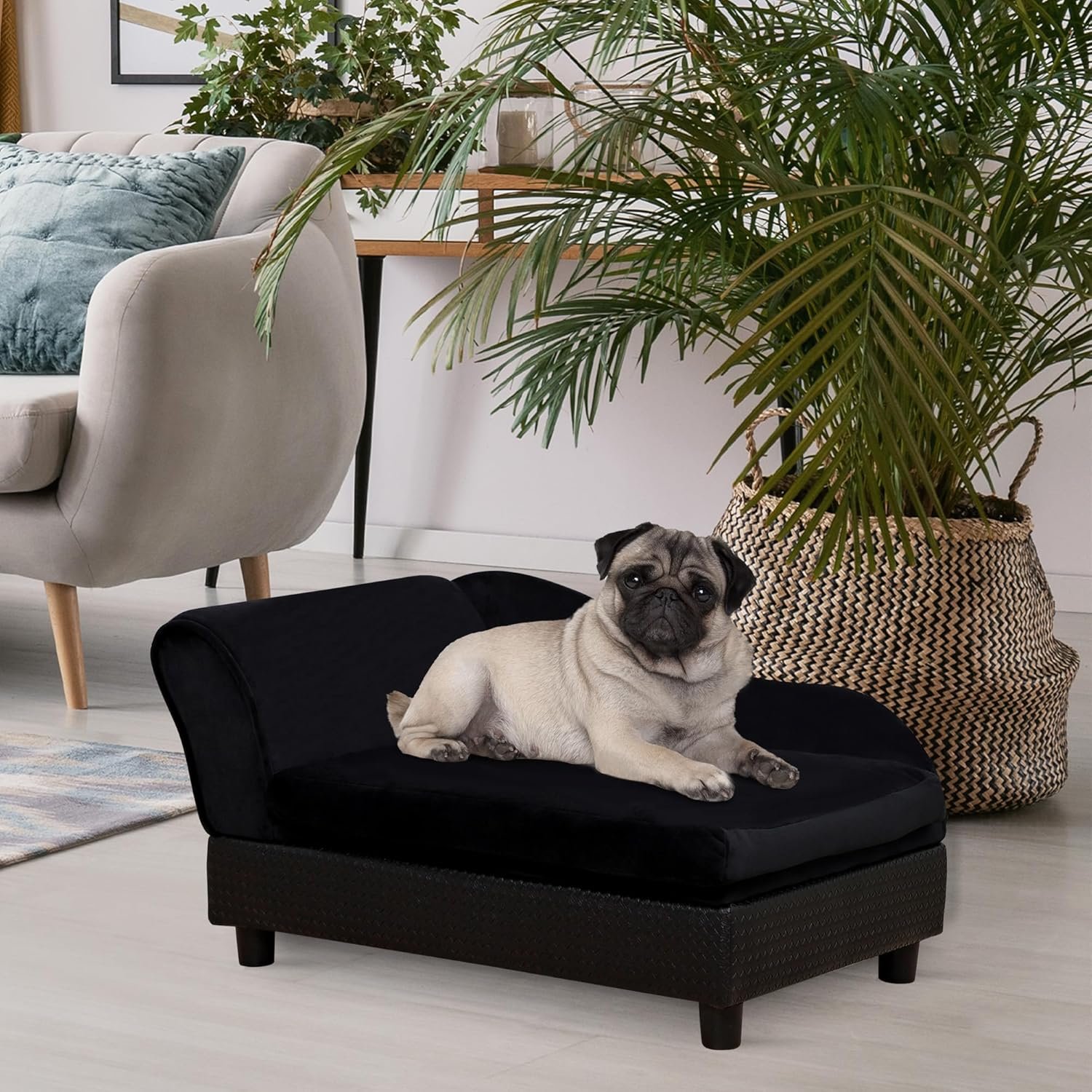 Luxury Fancy Dog Couch with Hidden Storage, Small Dog Sofa Bed with 2" Soft Foam, Modern Pet Furniture for Puppies & Little Breeds, Black - Image 2